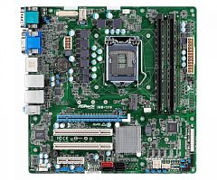 IMB-1310