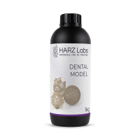 HARZ Labs Dental Model Beige