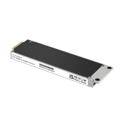 DSE1S-1T6DP2KCAEFPH