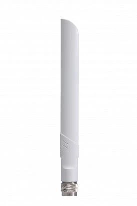 ANT-WDB-ANM-0306