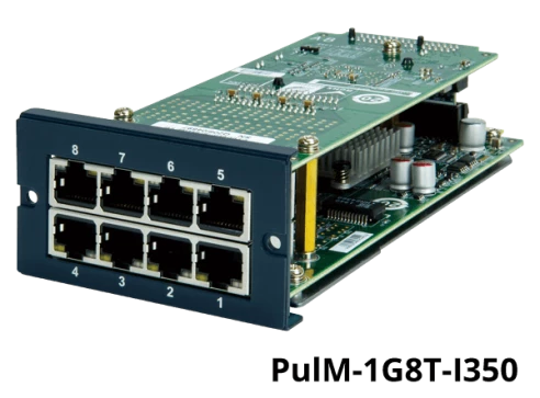 PulM-1G8T-I350