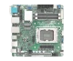 IMB-1246