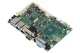 GENE-APL7-A11-F002
